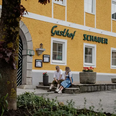 Schauer *