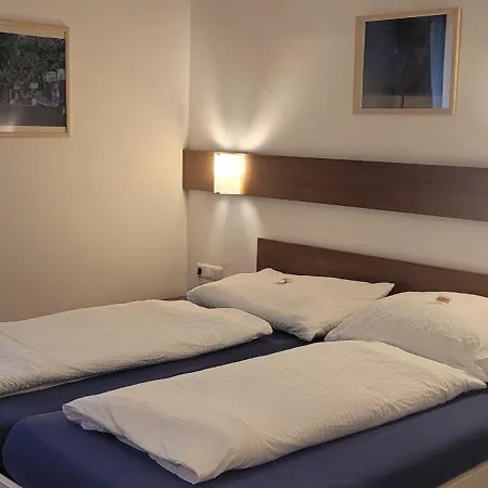 Schauer 3*